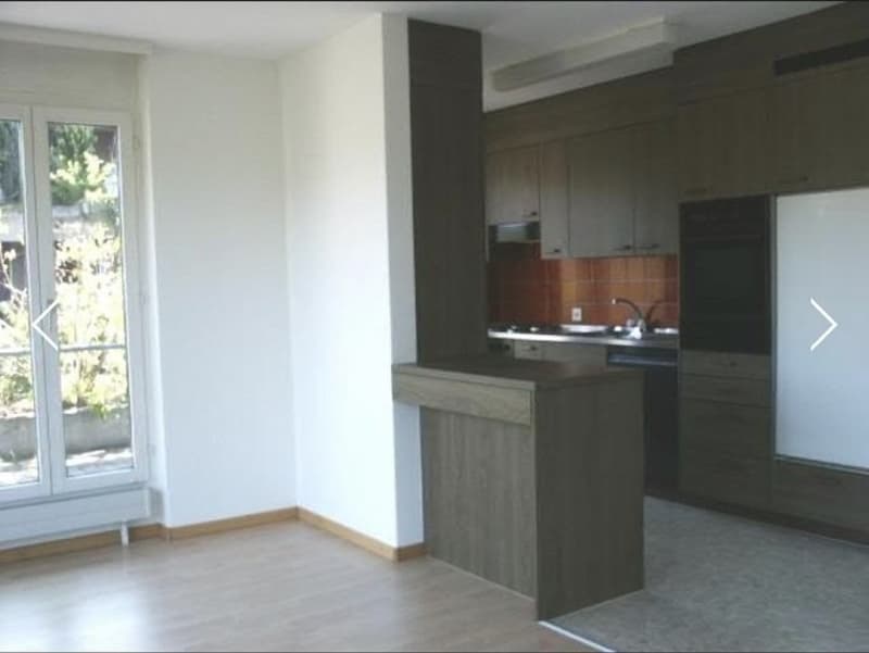 Nachmieter gesucht: 3.5 Zimmer Wohnung (3)