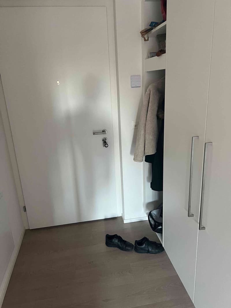 01.11- 30.11.2026 : Neue moderne 2.5 Zimmer, 50 m², 1. OG mit Balkon befristet möbeliert Sommer (4)
