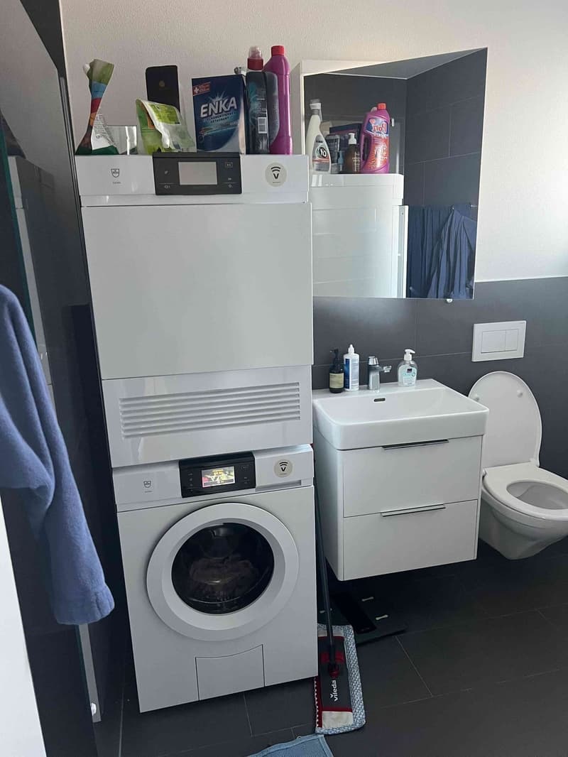 01.11- 30.11.2026 : Neue moderne 2.5 Zimmer, 50 m², 1. OG mit Balkon befristet möbeliert Sommer (5)