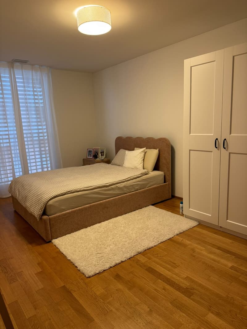 Furnished Room for Rent in Uster December Only (1)