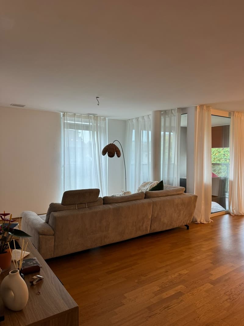 Furnished Room for Rent in Uster December Only (4)