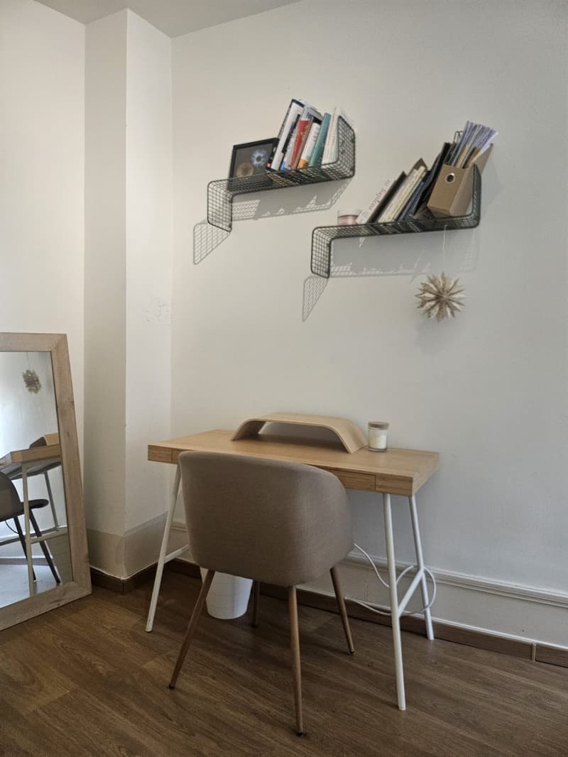 Furnished Room in a Social WG Limmatplatz, Zurich | CHF 1,370 (8)