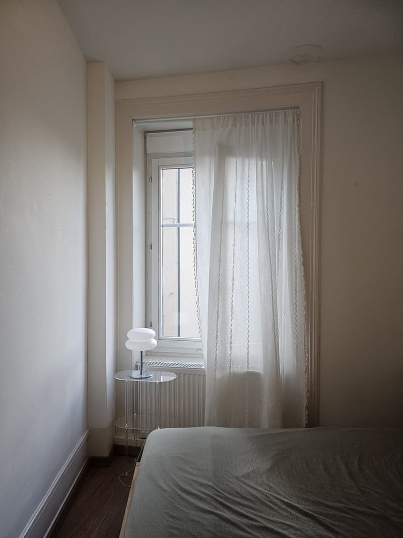 Furnished Room in a Social WG Limmatplatz, Zurich | CHF 1,370 (5)