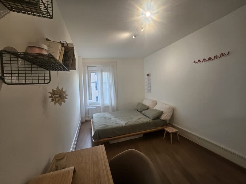 Furnished Room in a Social WG Limmatplatz, Zurich | CHF 1,370 (3)