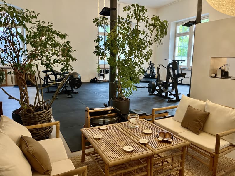 Einzigartige 308 m2 Maisonette-Loft in ehemaliger Seidenfabrik - Nachmieter gesucht (10)