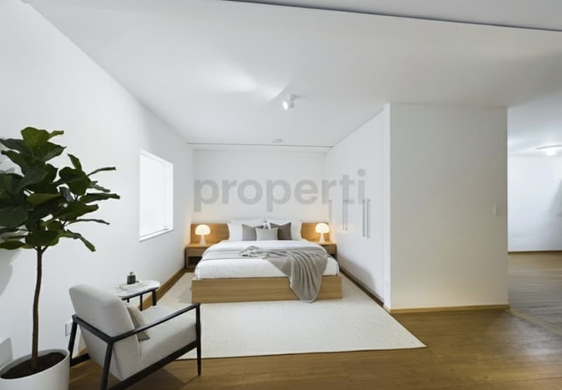 Einzigartige 308 m2 Maisonette-Loft in ehemaliger Seidenfabrik - Nachmieter gesucht (4)