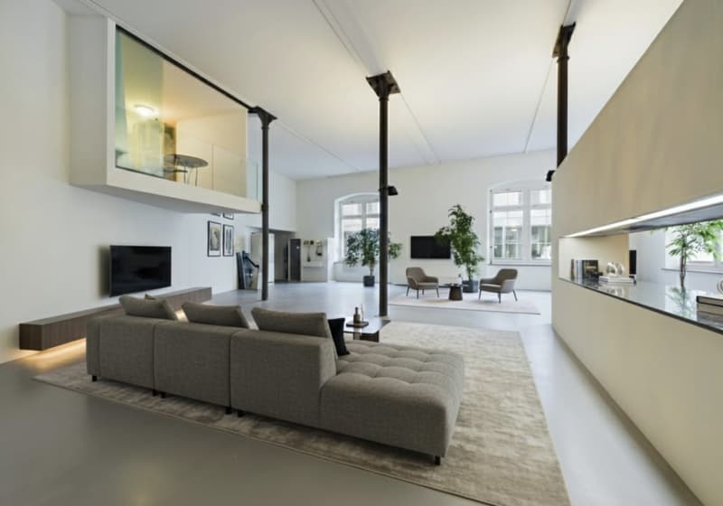 Einzigartige 308 m2 Maisonette-Loft in ehemaliger Seidenfabrik - Nachmieter gesucht (2)