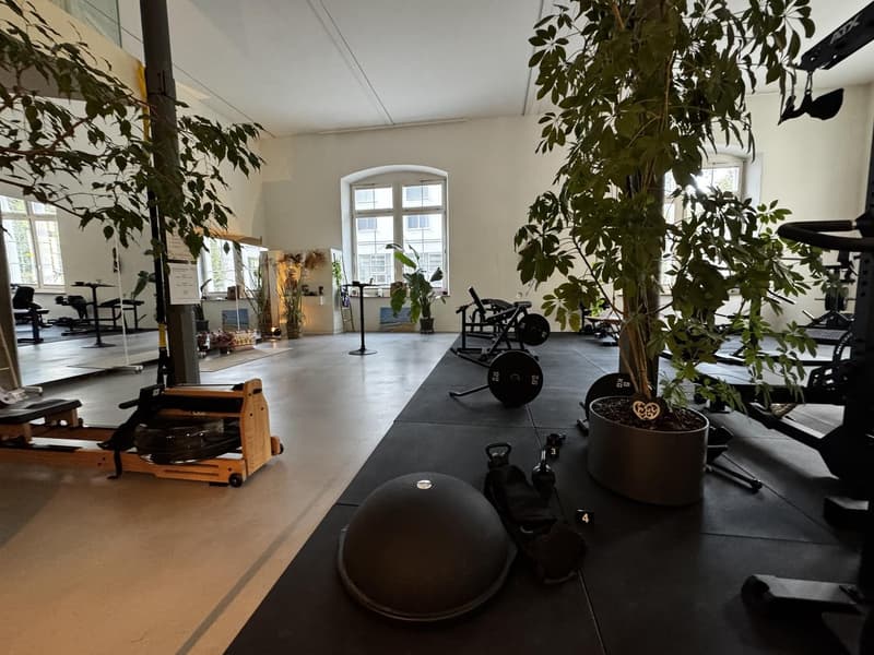 Einzigartige 308 m2 Maisonette-Loft in ehemaliger Seidenfabrik - Nachmieter gesucht (11)