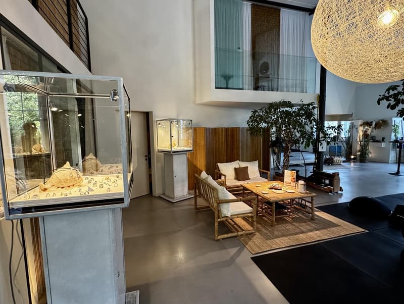 Einzigartige 308 m2 Maisonette-Loft in ehemaliger Seidenfabrik - Nachmieter gesucht (8)