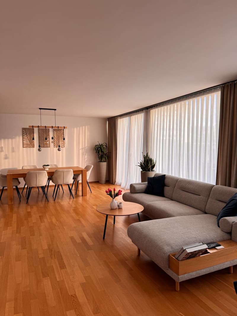 Traumhafte, lichtdurchflutete 3.5-Zimmer-Attikawohnung in Winterthur (1)