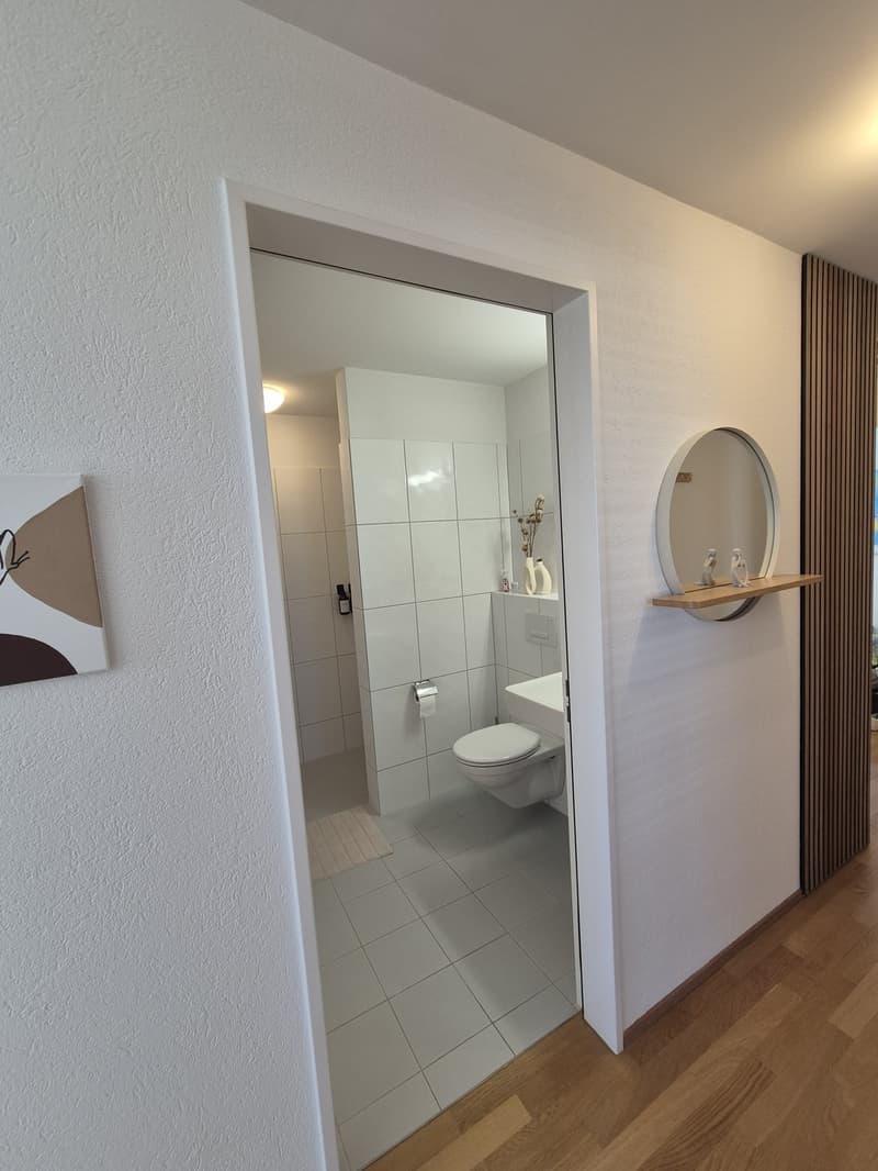 Traumhafte, lichtdurchflutete 3.5-Zimmer-Attikawohnung in Winterthur (6)