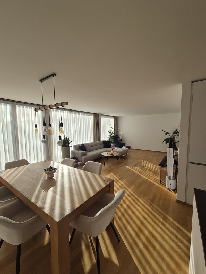 Traumhafte, lichtdurchflutete 3.5-Zimmer-Attikawohnung in Winterthur (3)
