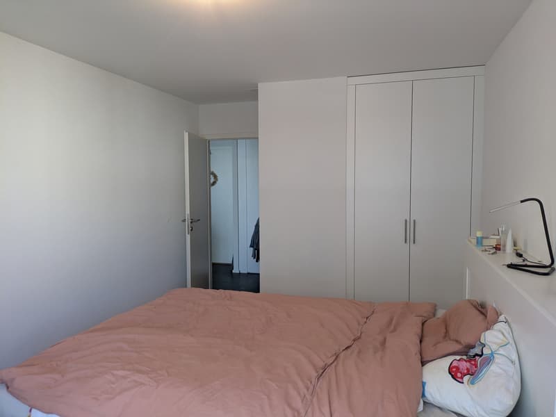 Appartement 2 ½ pièces, 2800 Delémont (10)