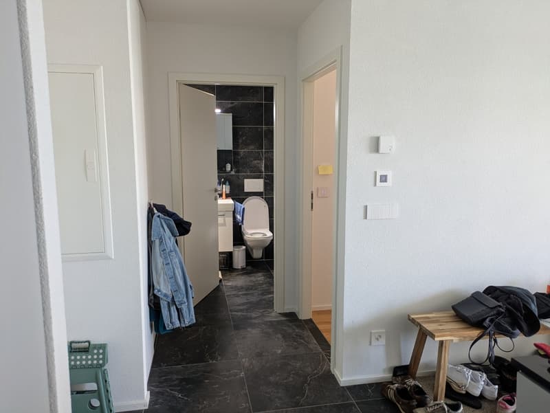 Appartement 2 ½ pièces, 2800 Delémont (6)