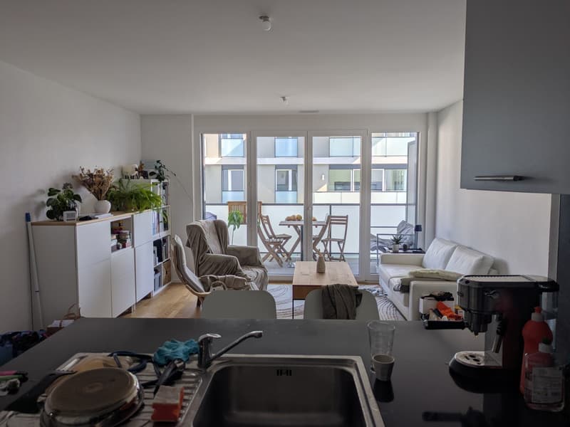 Appartement 2 ½ pièces, 2800 Delémont (2)