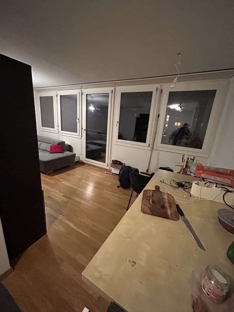 Beautiful room in a shared rooftop Appartment (5)