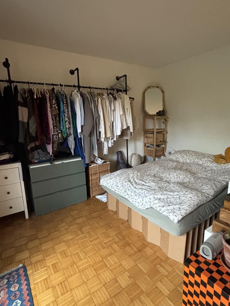 1 Zimmer Wohnung BEFRISTET (4)