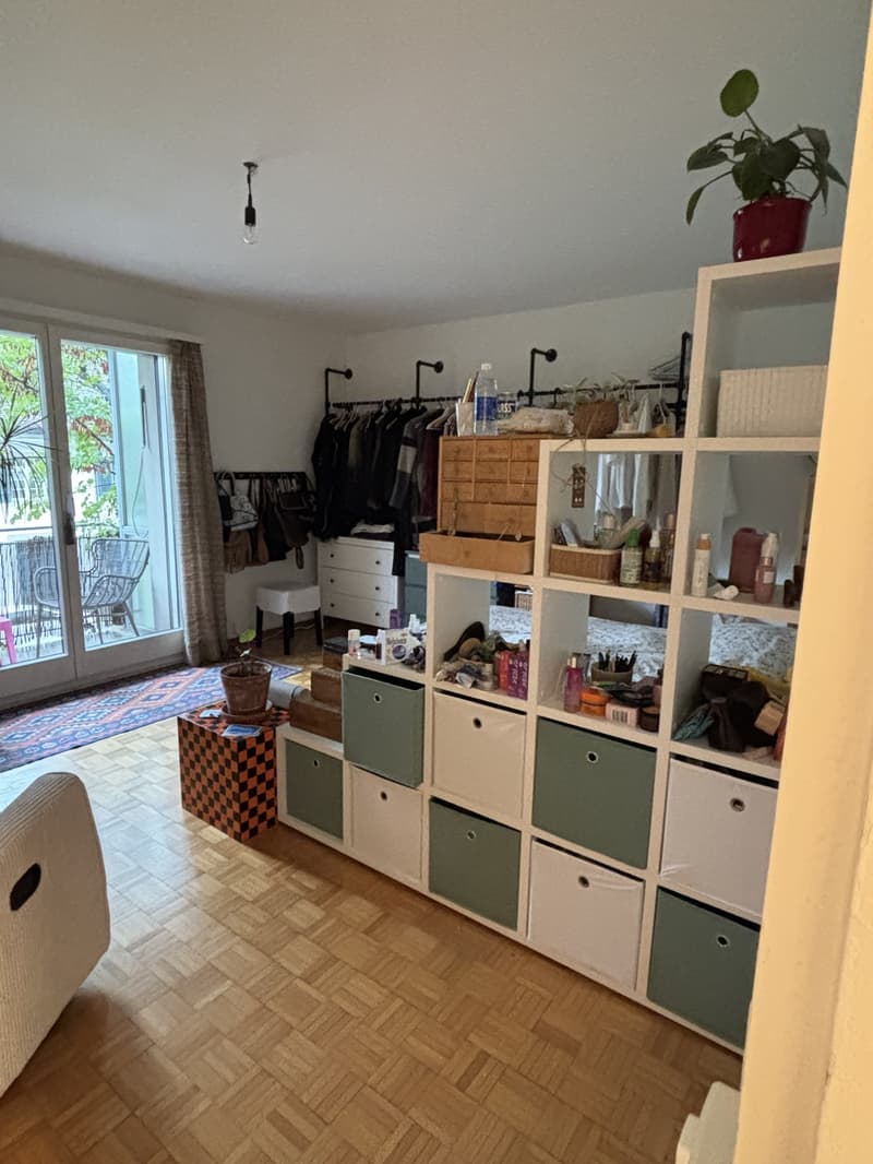 1 Zimmer Wohnung BEFRISTET (3)