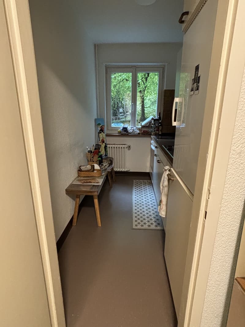 1 Zimmer Wohnung BEFRISTET (5)