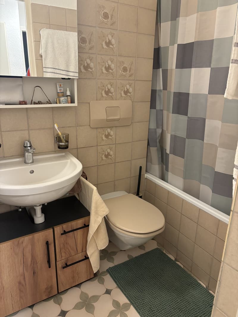 1 Zimmer Wohnung BEFRISTET (6)