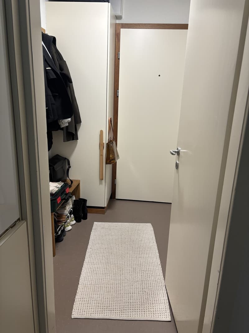 1 Zimmer Wohnung BEFRISTET (7)