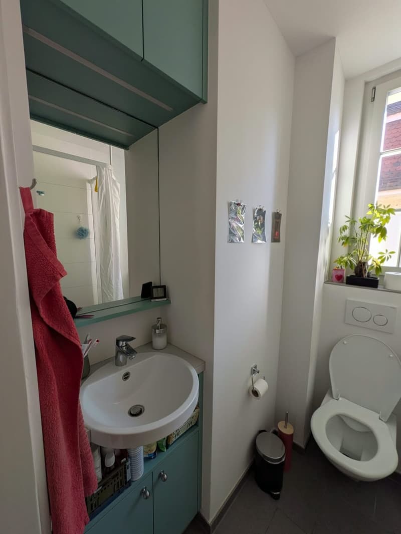 BIJOUX AN DER SCHÖNEGGSTRASSE (3.5 ZIMMER, 1.OG) (12)