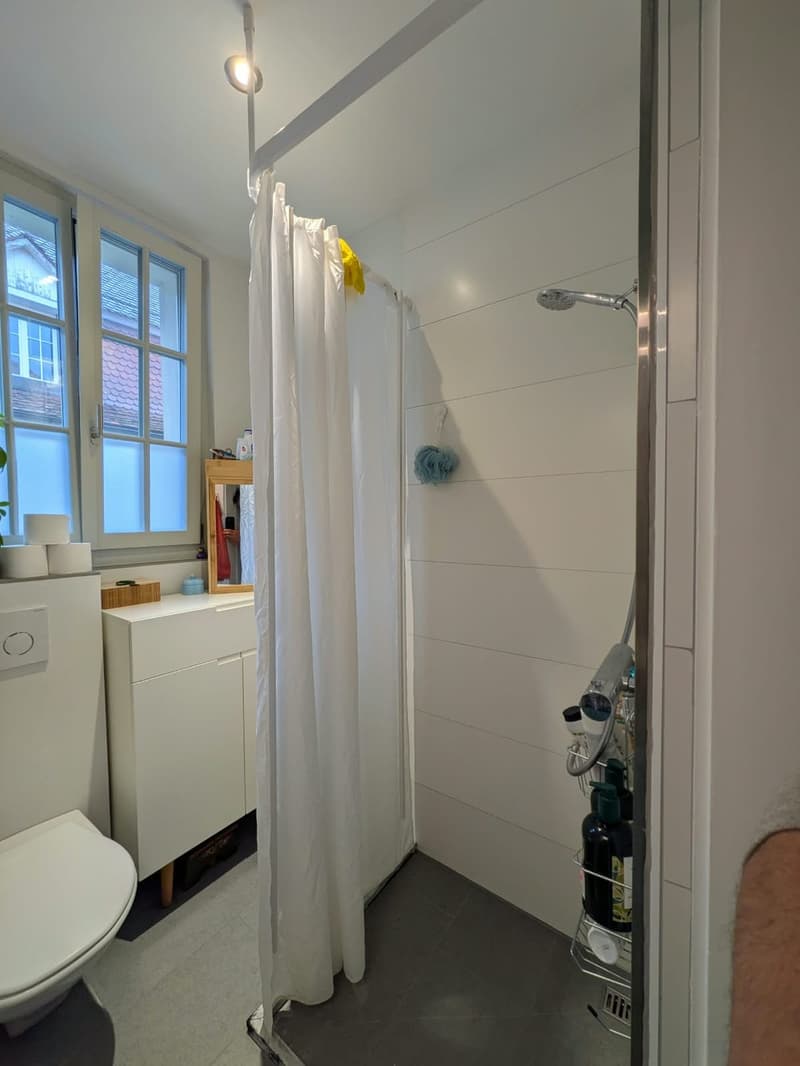 BIJOUX AN DER SCHÖNEGGSTRASSE (3.5 ZIMMER, 1.OG) (13)