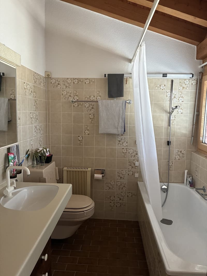 Befristet WG Zimmer mit Seeblick (3)