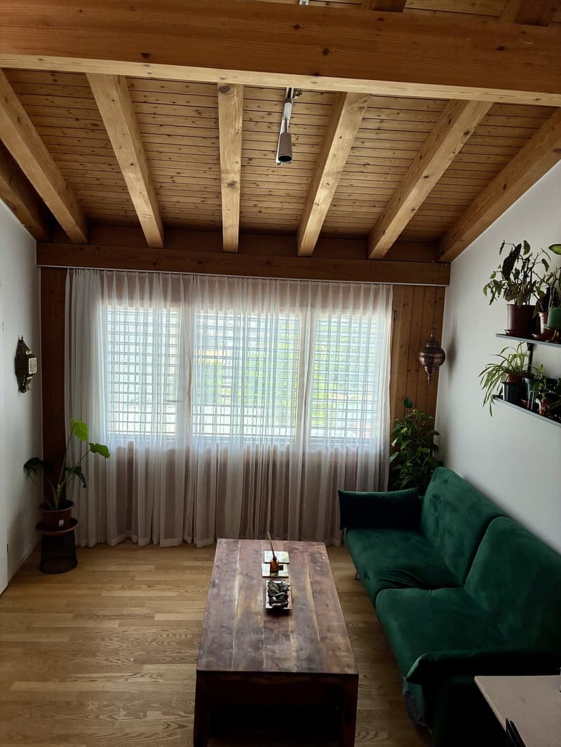 Befristet WG Zimmer mit Seeblick (5)