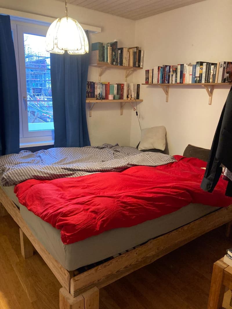 Untermieter*in von Januar bis Juni gesucht. (1)