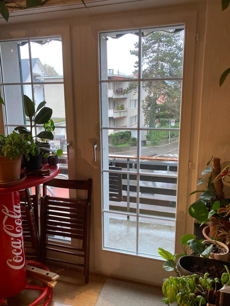 Untermieter*in von Januar bis Juni gesucht. (8)