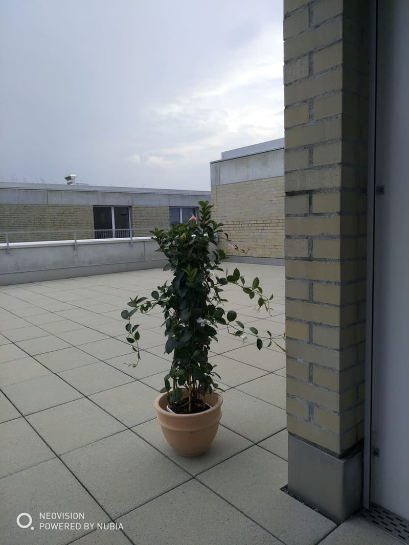 Traumhafte 3.5-Zimmer-Attikawohnung mit grosser Loggia & Terrasse direkt am Bahnhof in Suhr (4)