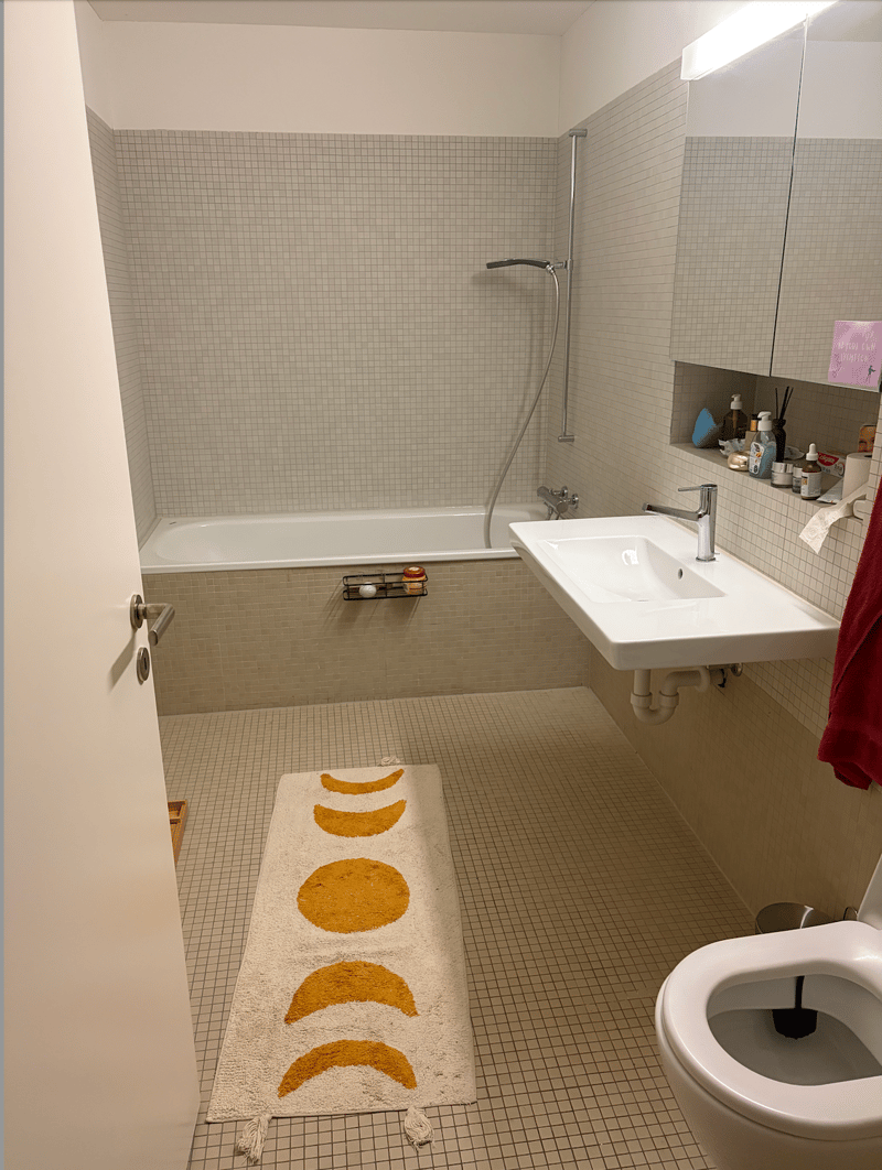 Moderne 3.5 Zimmer Wohnung für 2.5 Monate zur Untermiete (8)