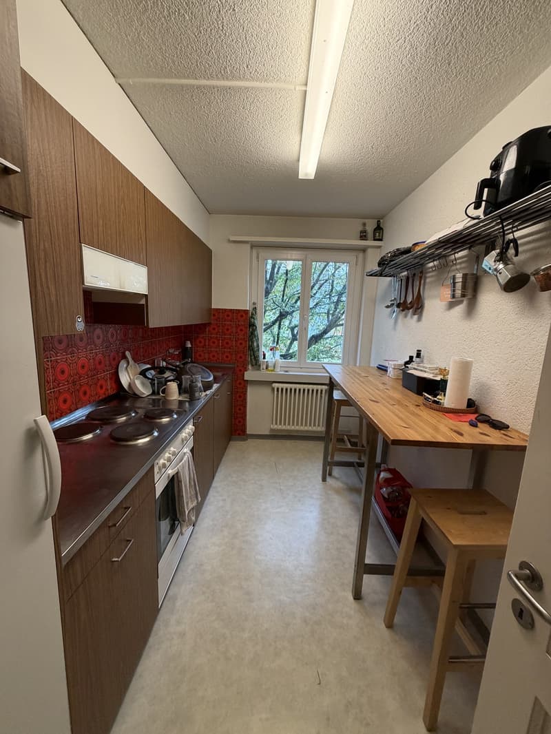 WG Zimmer in grosser Wohnung in Altstetten (3)