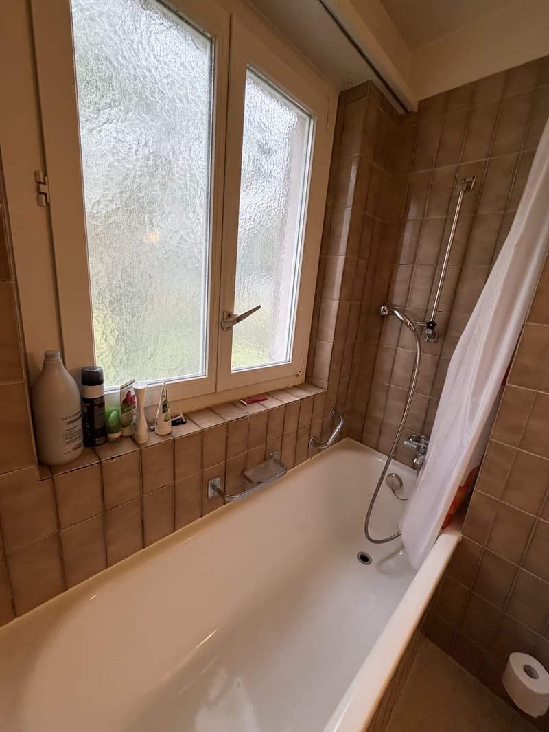WG Zimmer in grosser Wohnung in Altstetten (7)