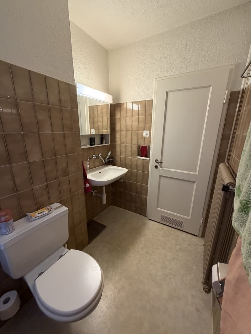 WG Zimmer in grosser Wohnung in Altstetten (6)