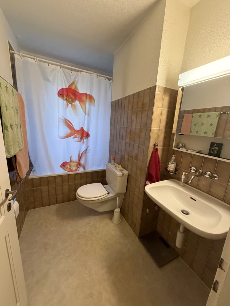 WG Zimmer in grosser Wohnung in Altstetten (5)