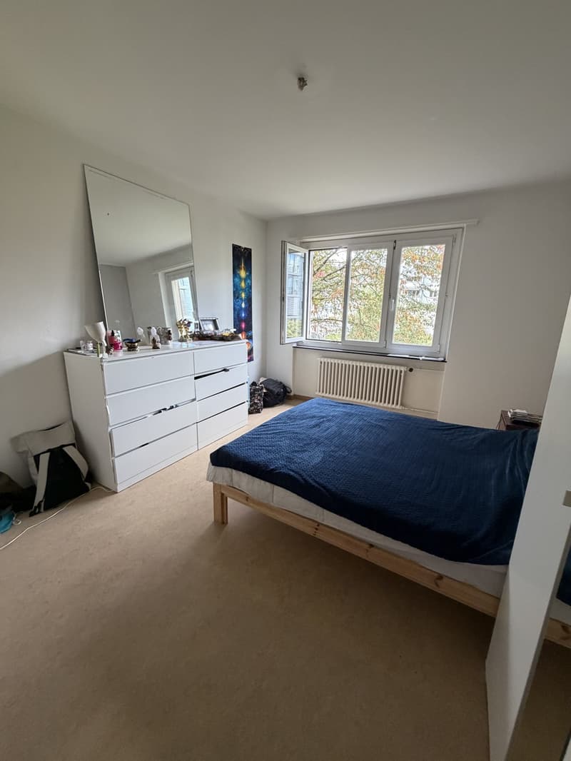 WG Zimmer in grosser Wohnung in Altstetten (2)