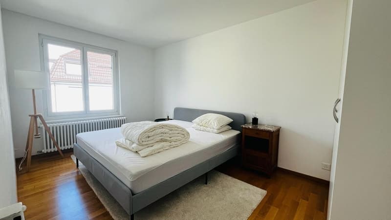 Bedroom in cozy flat in Zürich Milchbuck (4)
