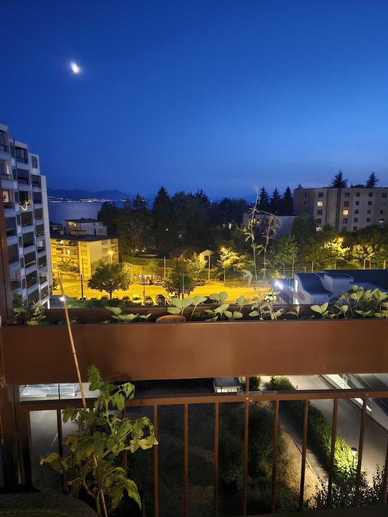 Très bel appartement avec vue sur le lac et les montagnes (2)