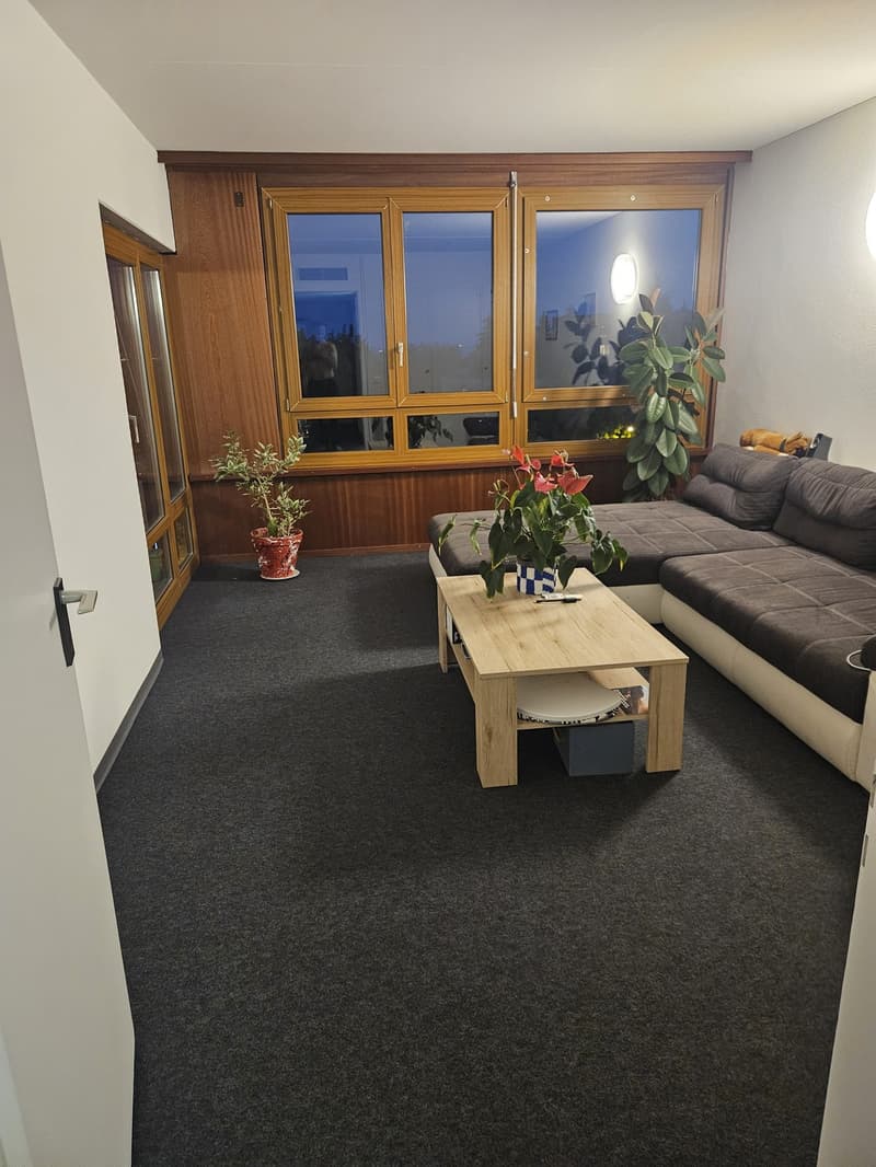 Très bel appartement avec vue sur le lac et les montagnes (6)