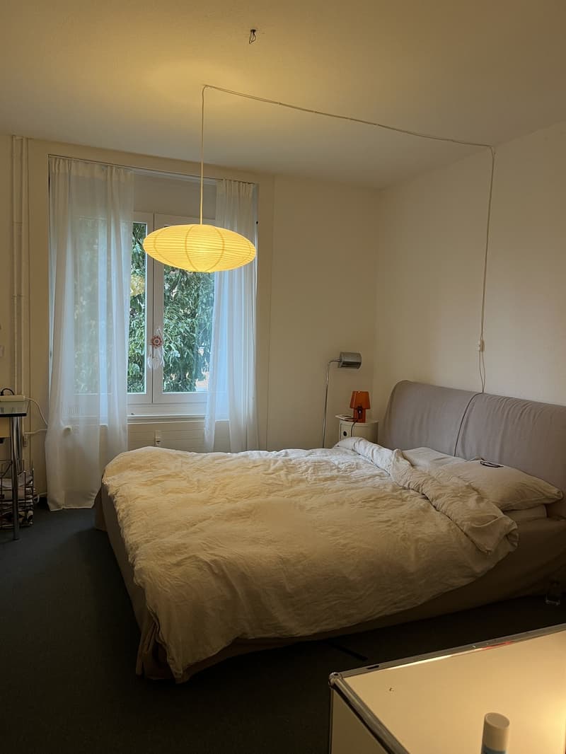 Möblierte 3-Zimmer-Wohnung in Wipkingen Zwischenmiete vom 27.10.2026 bis 15.01.2027 (2)