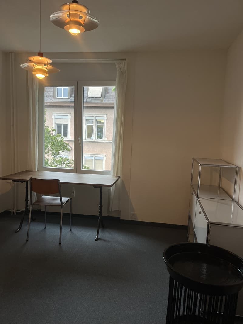 Möblierte 3-Zimmer-Wohnung in Wipkingen Zwischenmiete vom 27.10.2026 bis 15.01.2027 (6)