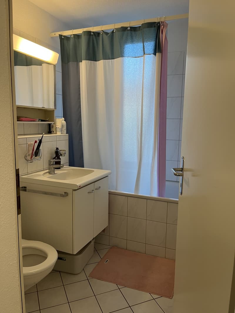Möblierte 3-Zimmer-Wohnung in Wipkingen Zwischenmiete vom 27.10.2026 bis 15.01.2027 (5)