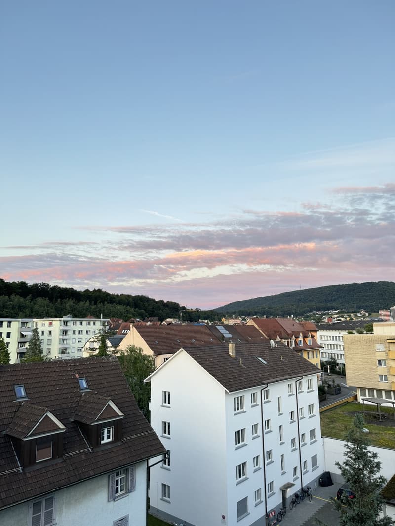 Praktische Wohnung direkt beim Bhf Olten (4)