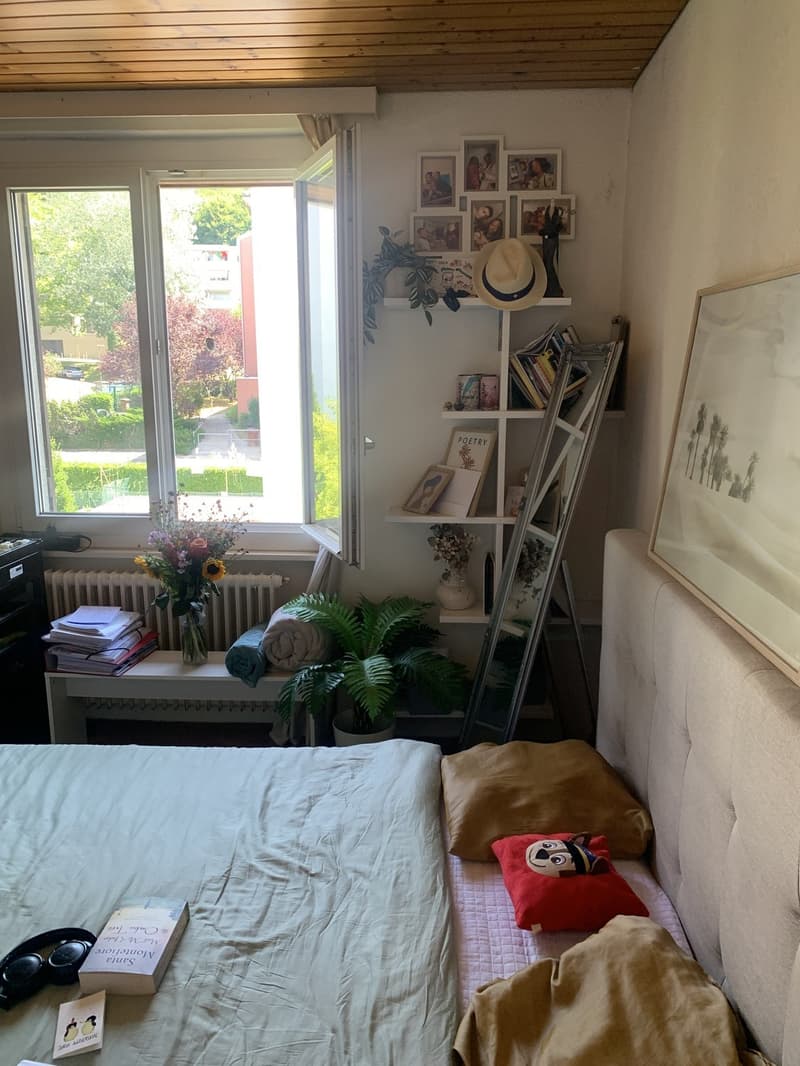Colocation à Lausanne (3)