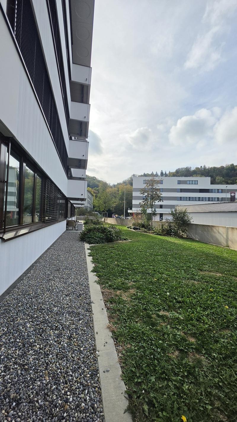 Möbliertes Zimmer in grosszügiger, moderner 3.5-Zimmer-WG mit Garten 5 Min. vom Bahnhof Baden (8)