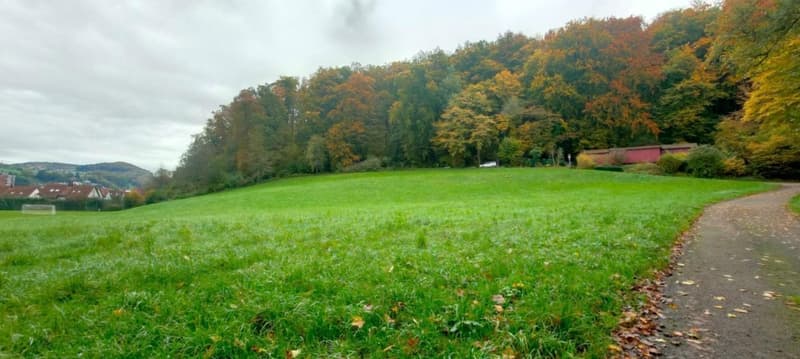 Möbliertes Zimmer in grosszügiger, moderner 3.5-Zimmer-WG mit Garten 5 Min. vom Bahnhof Baden (11)