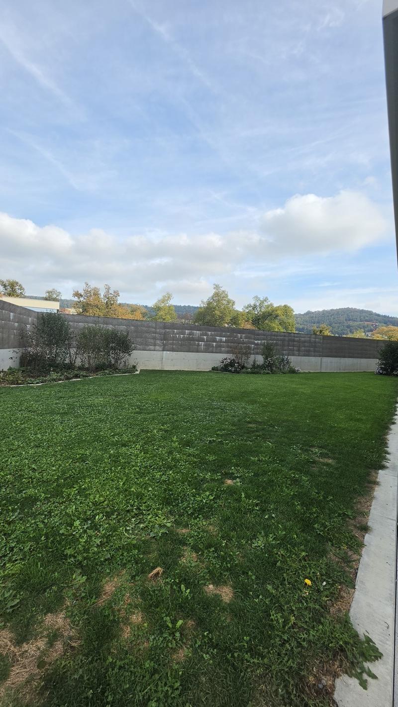 Möbliertes Zimmer in grosszügiger, moderner 3.5-Zimmer-WG mit Garten 5 Min. vom Bahnhof Baden (7)