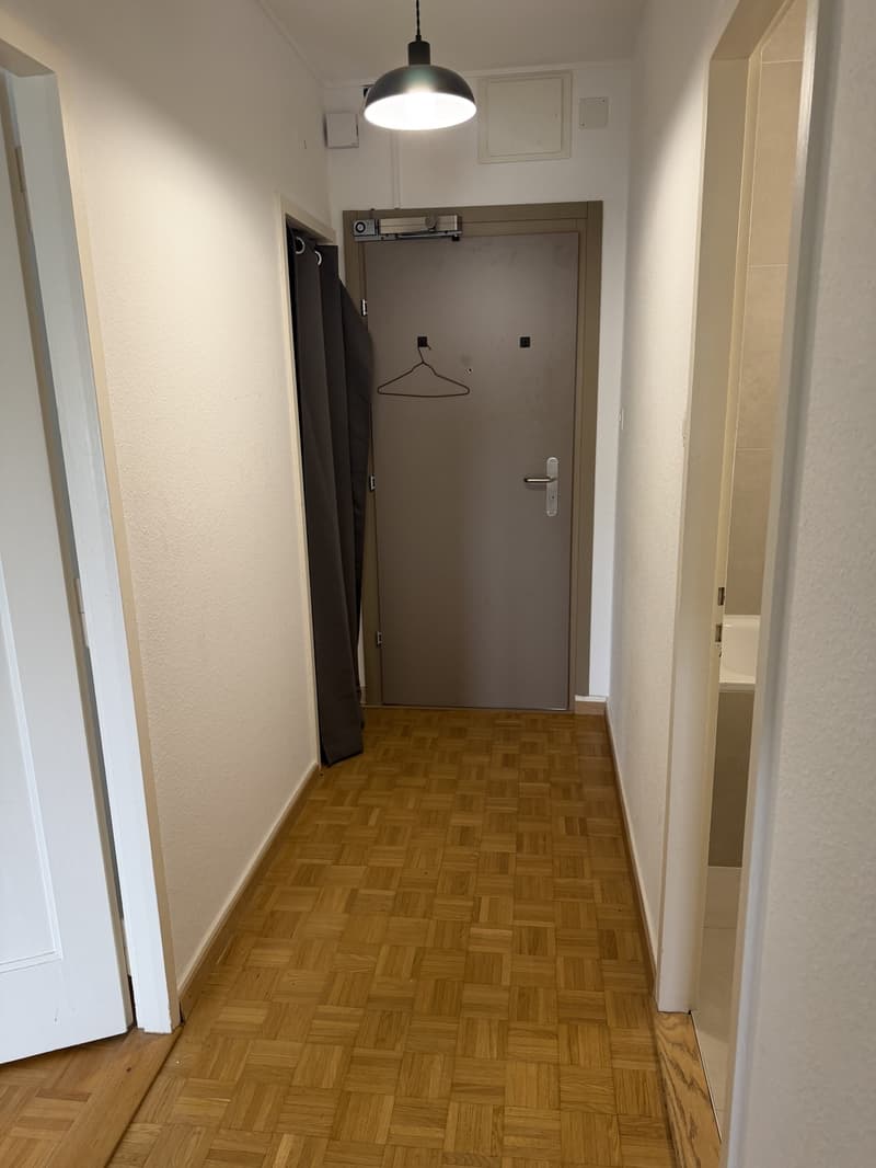 Sous-location : 2 pièces meublé et rénové avec balcon, ascenseur, Servette (9)
